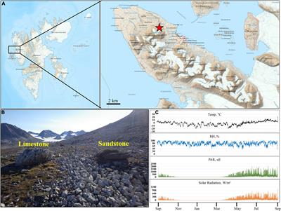 Distinct Microbial Communities in Adjacent Rock and Soil Substrates on a High Arctic Polar Desert